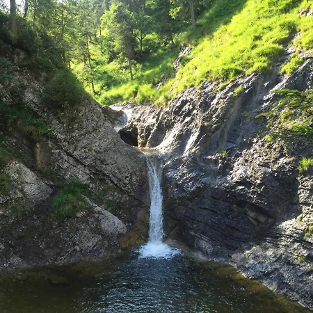 Sennhofer *
